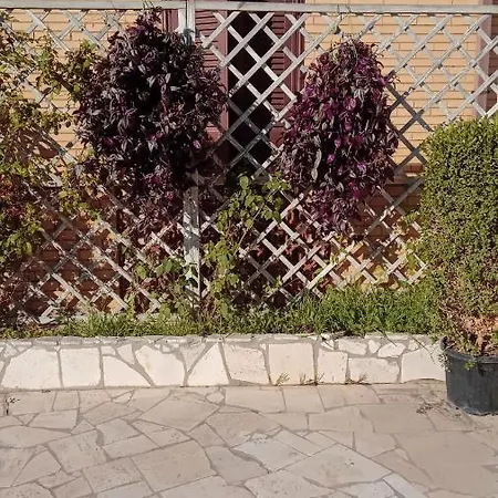 Rosilienza Private Spa, Patio Garden Free Trasfer To & From Airport